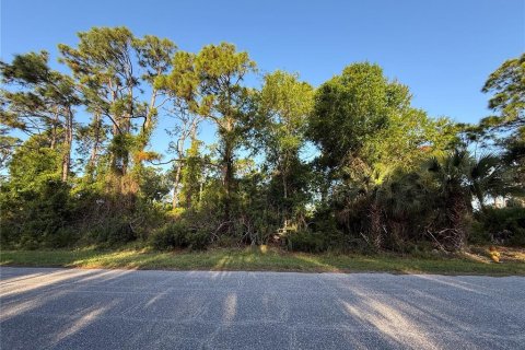 Land in Port Charlotte, Florida № 2159864 - photo 4