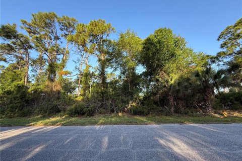 Land in Port Charlotte, Florida № 2159864 - photo 5