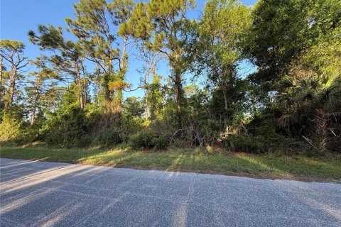 Land in Port Charlotte, Florida № 2159864 - photo 2