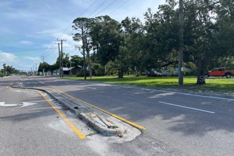 Land in Sarasota, Florida № 1819310 - photo 1