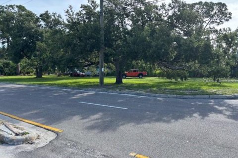 Land in Sarasota, Florida № 1819310 - photo 2
