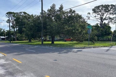 Land in Sarasota, Florida № 1819310 - photo 4
