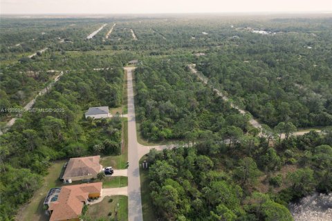 Land in Port Charlotte, Florida № 2158096