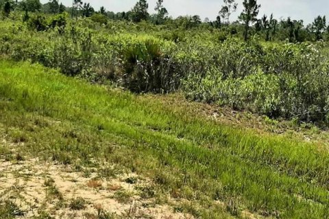 Land in Indian lake estates, Florida № 2160334 - photo 5
