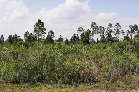 Land in Indian lake estates, Florida № 2160334