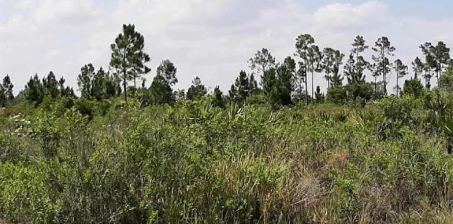 Land in Indian lake estates, Florida № 2160334