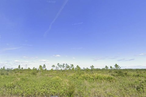 Land in Indian lake estates, Florida № 2160334 - photo 3