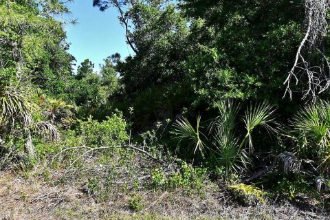 Land in North Port, Florida № 2215024 - photo 3