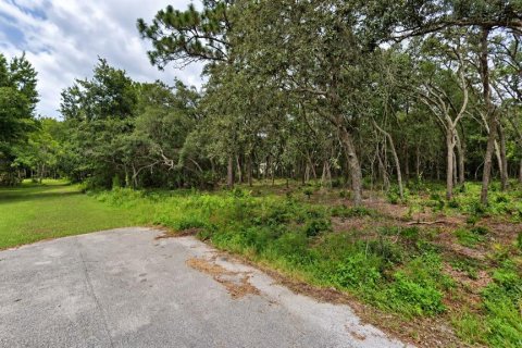 Land in New Port Richey, Florida № 2369731