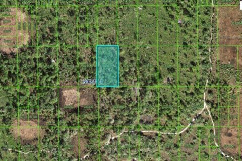 Terreno en Lake Wales, Florida № 2226945