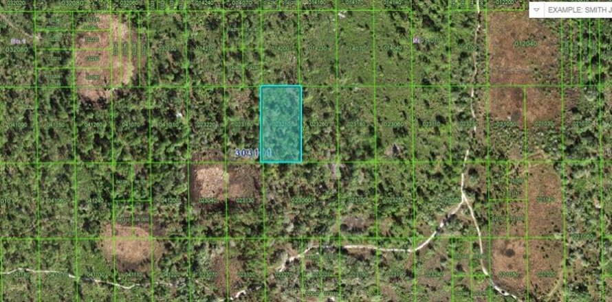 Land in Lake Wales, Florida № 2226945