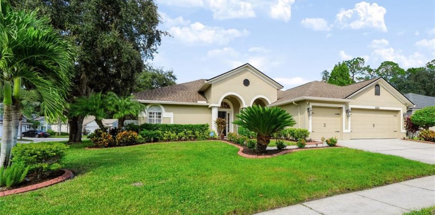 House in Tampa, Florida 4 bedrooms, 207.36 sq.m. № 2429210