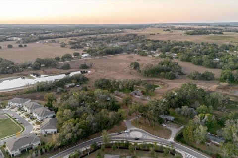 Land in Zephyrhills, Florida № 2144196 - photo 18