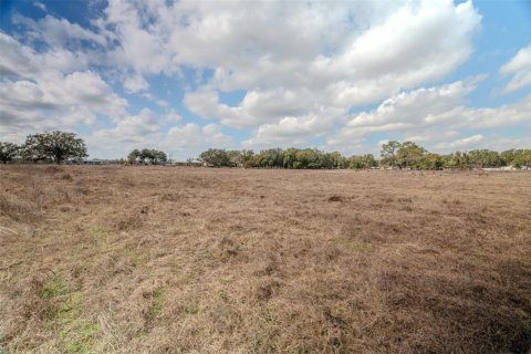 Land in Zephyrhills, Florida № 2144196 - photo 8