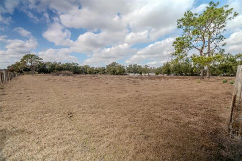 Land in Zephyrhills, Florida № 2144196 - photo 7