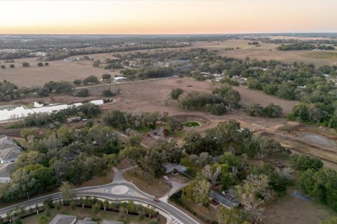 Land in Zephyrhills, Florida № 2144196 - photo 16