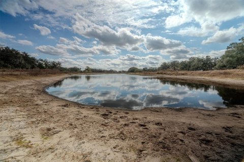 Land in Zephyrhills, Florida № 2144196 - photo 20