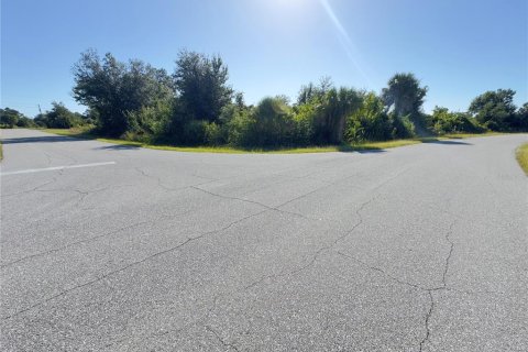 Land in Port Charlotte, Florida № 2225673