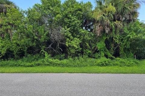 Land in Port Charlotte, Florida № 2164247 - photo 3