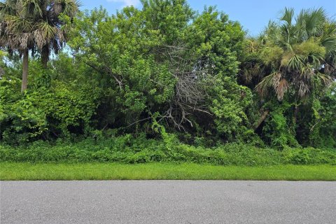 Land in Port Charlotte, Florida № 2164247 - photo 5