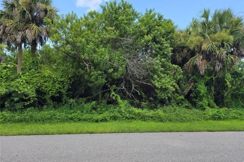 Land in Port Charlotte, Florida № 2164247 - photo 6