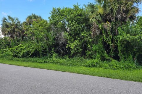 Land in Port Charlotte, Florida № 2164247 - photo 2