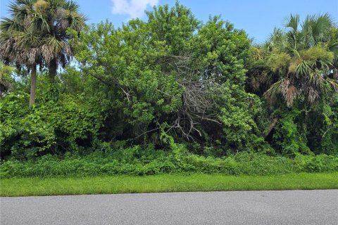 Land in Port Charlotte, Florida № 2164247 - photo 4