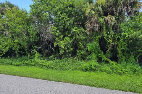 Land in Port Charlotte, Florida № 2164247