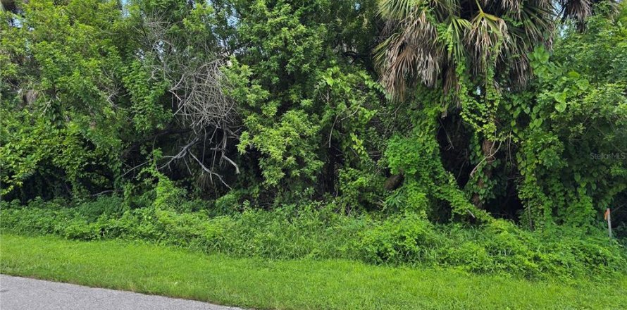 Land in Port Charlotte, Florida № 2164247