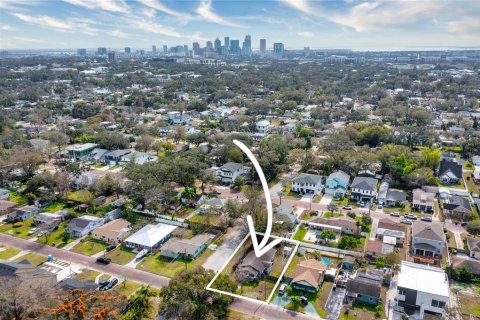 Land in Tampa, Florida № 1903389 - photo 6