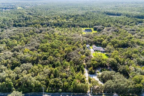 Land in Lake Mary, Florida № 2370898 - photo 9