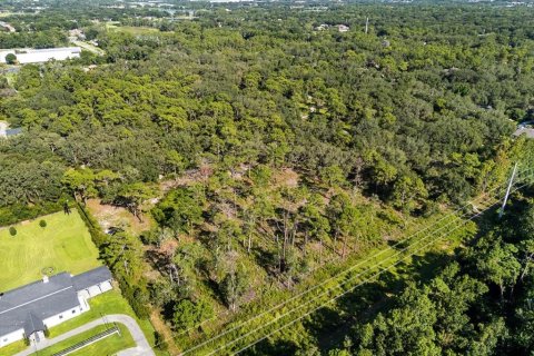 Land in Lake Mary, Florida № 2370898 - photo 5