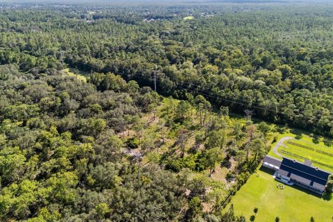Land in Lake Mary, Florida № 2370898 - photo 7