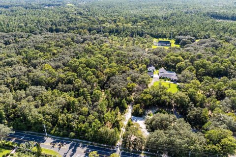 Land in Lake Mary, Florida № 2370898 - photo 8