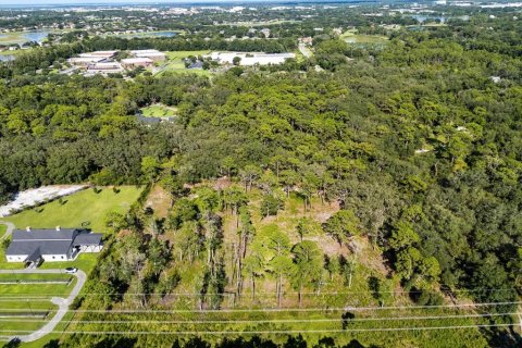 Land in Lake Mary, Florida № 2370898 - photo 3