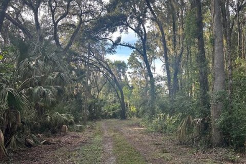 House in Inverness, Florida 2 bedrooms, 107.3 sq.m. № 2210807 - photo 3