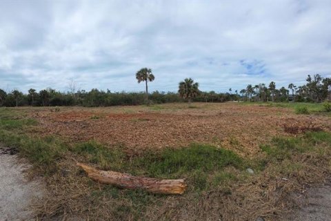 Terreno en venta en Englewood, Florida № 2148447 - foto 3