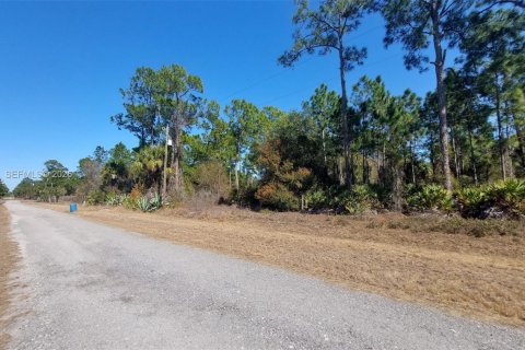 Terrain à vendre à Clewiston, Floride № 2158276 - photo 5