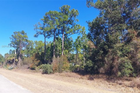 Terrain à Clewiston, Floride № 2158276