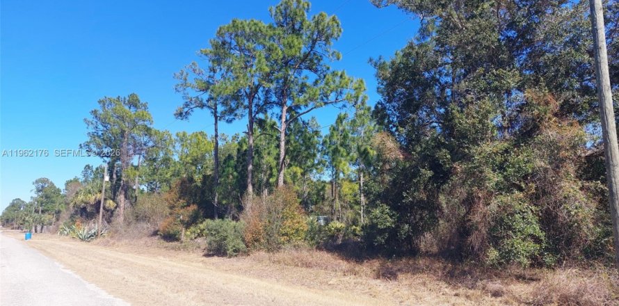 Terrain à Clewiston, Floride № 2158276