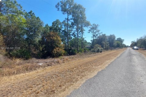 Terrain à vendre à Clewiston, Floride № 2158276 - photo 6