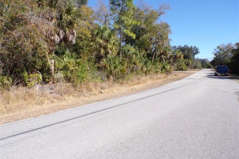 Land in North Port, Florida № 2161060 - photo 3