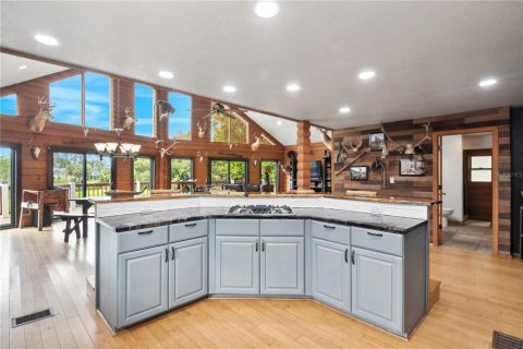 Villa ou maison à vendre à Umatilla, Floride: 4 chambres, 451.04 m2 № 1824280 - photo 8