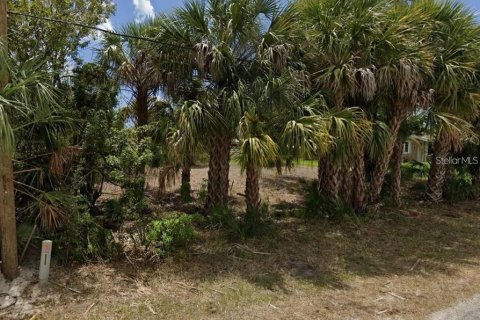 Land in Port Charlotte, Florida № 2208543 - photo 2
