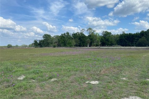 Terreno en venta en Chiefland, Florida № 1658058 - foto 27