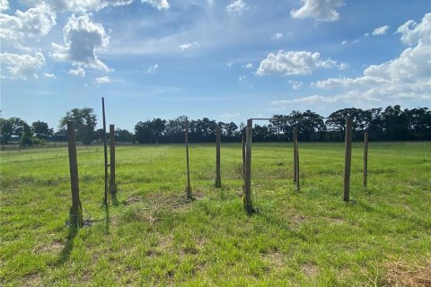 Terreno en venta en Chiefland, Florida № 1658058 - foto 30