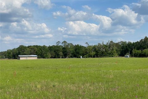 Terreno en venta en Chiefland, Florida № 1658058 - foto 13