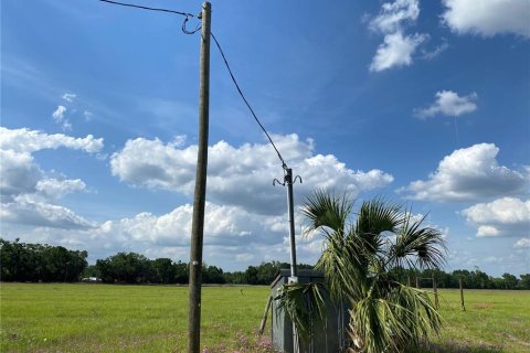 Terreno en venta en Chiefland, Florida № 1658058 - foto 8