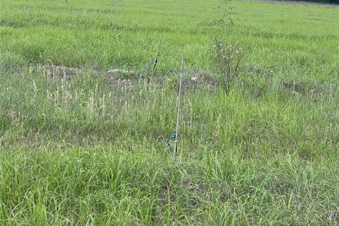 Terreno en venta en Chiefland, Florida № 1658058 - foto 24