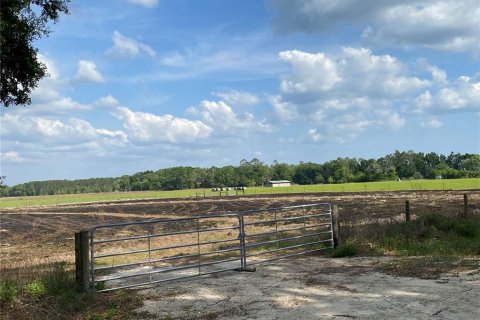 Terreno en venta en Chiefland, Florida № 1658058 - foto 3
